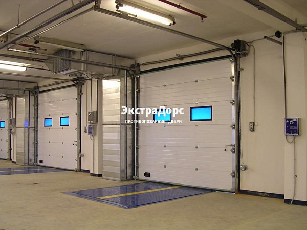 Подъемные автоматические противопожарные ворота с окнами в Егорьевске  купить