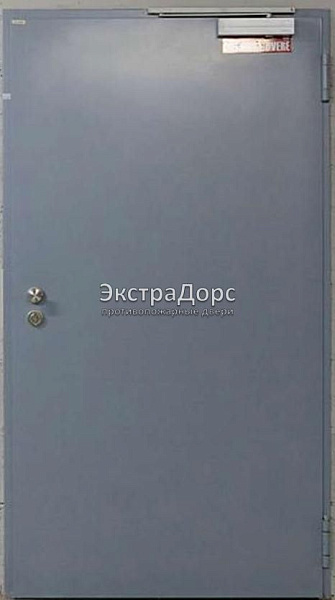 Противопожарная дверь однопольная дымогазонепроницаемая металлик в Егорьевске  купить