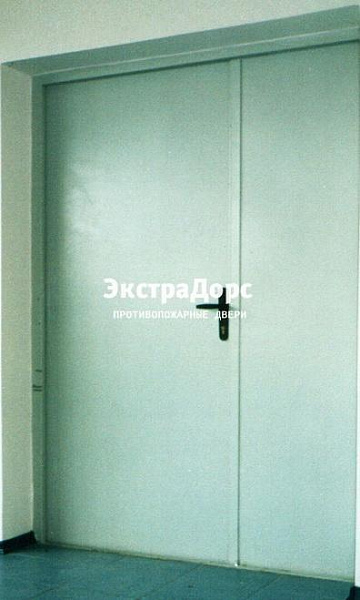 Противопожарная дверь двупольная белая без порога в Егорьевске  купить