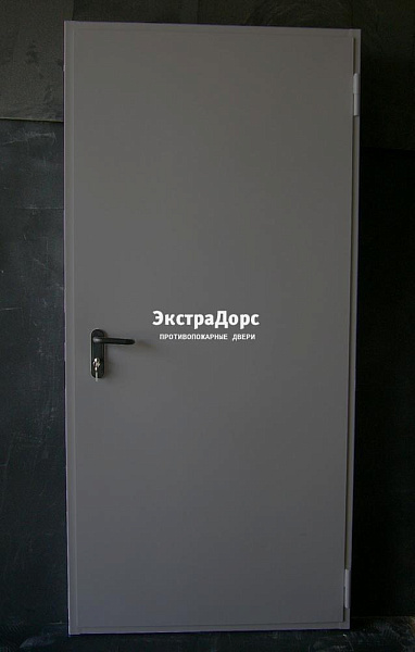 Дверь металлическая противопожарная EI 60 ДПМ 2 типа серая в Егорьевске  купить